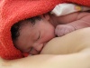 Bábätko má ihneď po narodení v prsníkoch k dispozícii na pitie materské mlieko